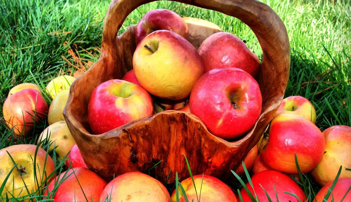 Buah apel mengandung zat yang bisa menguatkan dan bisa memutihkan gigi. Ketika gigi  menguyah daging dari buah apel, secara tidak bersamaan daging buah apel sedang membunuh flek kuning dan juga menjaga ketahanan gigi. (Ilustrasi Istimewa)