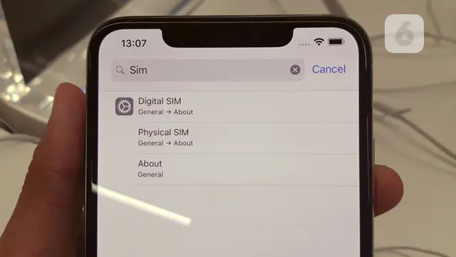 iPhone