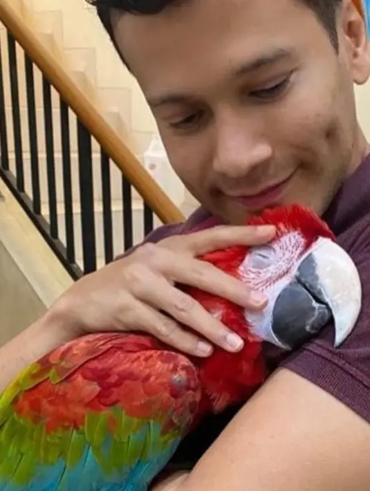 Selain Kiko si abu-abu, ada juga burung cantik berwarna hijau, merah dan biru. Burung berwarna cantik ini tampak nyaman dipeluk Adam dengan penuh kasih sayang. Penampilannya yang masih begitu gagah dan karismatik di usia setengah abad ini pun menuai decak kagum. (Liputan6.com/IG/@adam_jordanreal)