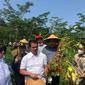 Kementerian Pertanian melakukan kunjungan ke Desa Selat, Kecamatan Nguter, Kabupaten Sukoharjo, jum'at (6/5/22) untuk meninjau lokasi pertanaman kedelai.