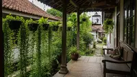 8 Model Teras dengan Tanaman Daun Kecil Rimbun, Sejuk di Musim Hujan dan Teduh saat Kemarau