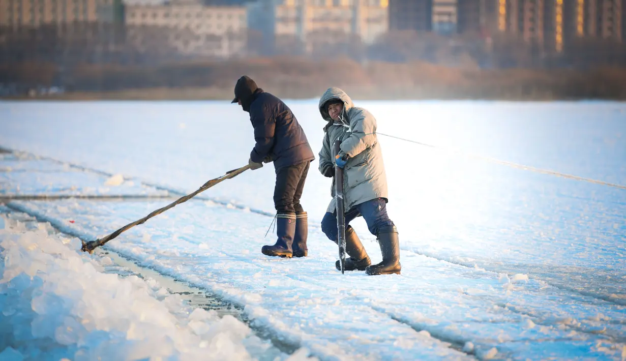 Sejumlah pekerja mengumpulkan es dari Sungai Songhua di Harbin, ibu kota Provinsi Heilongjiang, China timur laut (7/12/2020). Bongkahan es yang dikumpulkan dari Sungai Songhua yang membeku itu akan digunakan sebagai dekorasi kota tersebut. (Xinhua/Wang Song)
