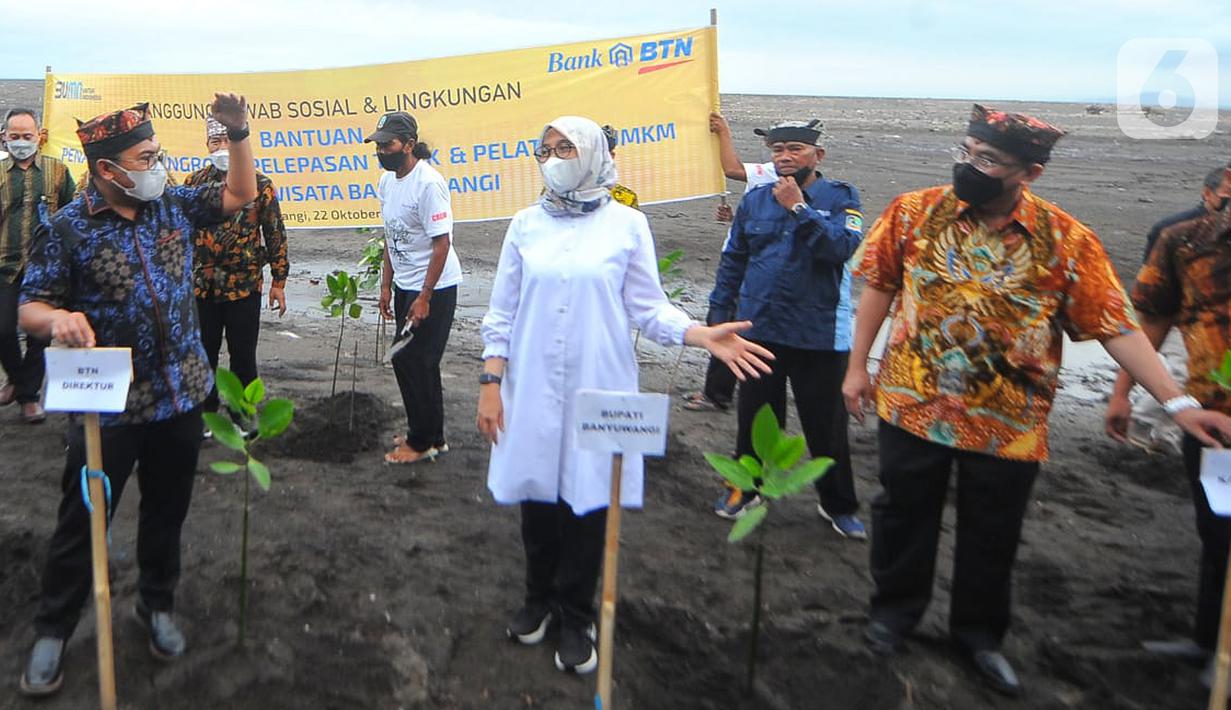 (ki-ka) Direktur Compliance and Legal Bank BTN Eko Waluyo, Bupati Banyuwangi Ipuk Fiestiandani Azwar Anas dan Deputy Regional Manager Business Kanwil III Bank BTN Heru Wicaksono saat penanaman pohon mangrove dan pelepasan 1.000 tukik di Pantai Cemara, Banyuwangi, (22/10/2021). (Liputan6.com/HO/Hedi)