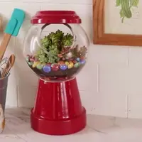 Wih, cute abis pot tanaman ini, lho. Bikinnya juga gampang. Simak, yuk.