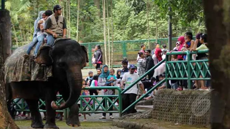 3 Tempat Ini Baik Untuk Mencerdaskan Anak!