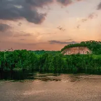 Amazon (Foto: Unsplash.com)