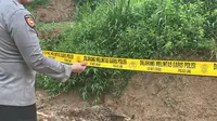 Geger Penemuan Janin Dalam Kardus di Pinggir Sungai Cengkareng Jakbar, Polisi Buru Pelaku