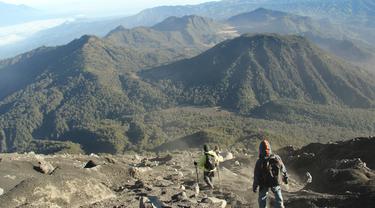 Dikonservasi, Jalur Pendakian Gunung Semeru Ditutup Sementara