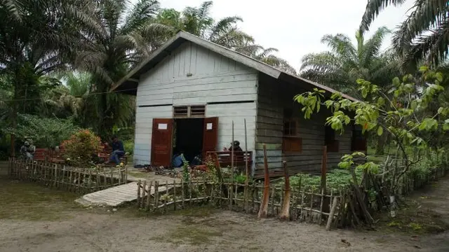 PHE Jambi Merang menggelar program perhutanan sosial inovatif berbasis agroforestry (Foto: PHE)