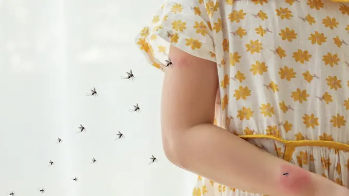 Demam berdarah dengue