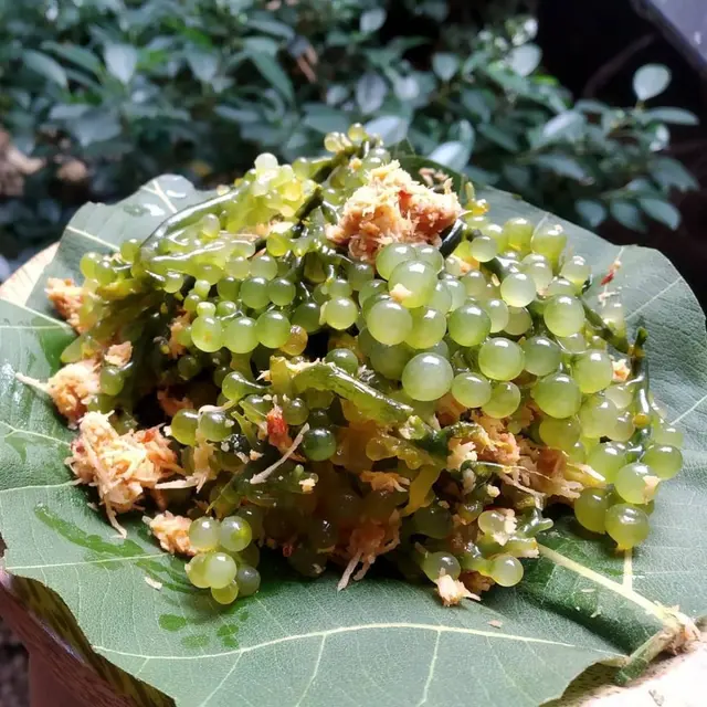 Urap Latoh