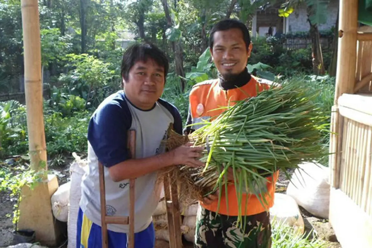 Imat Blong, Difabel Kreatif Budidayakan Bawang Daun