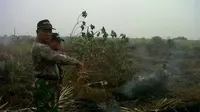 172 Titik Api di Riau Berhasil Dipadamkan