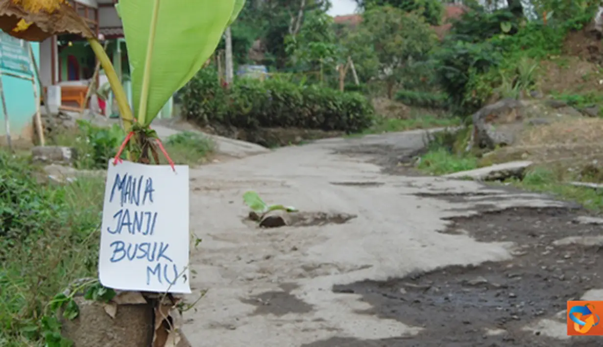 Jalan Raya Cipanas Galunggung, Desa Linggajati, Kecamatan Sukaratu,  Tasikmalaya yang rusak, ditanami pohon pisang sebagai bentuk protes warga.