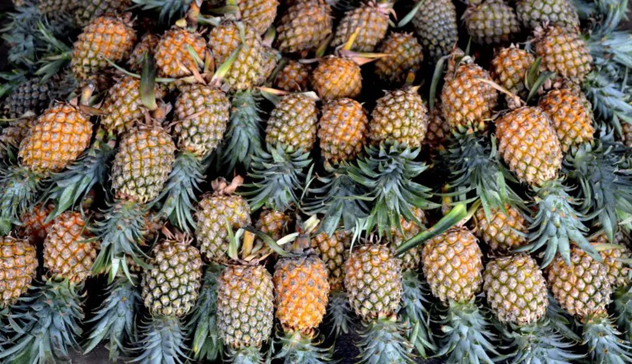 Bagi yang berkulit gelap dapat menyeka kulit wajahnya dengan kain kasa yang direndam jus nanas, praktekkan secara teratur dapat berkhasiat memutihkan dan menghaluskan kulit. (AFP PHOTO/Bay ISMOYO)