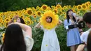 Orang-orang berfoto di ladang bunga matahari di sebuah taman di Beijing pada 2 Juli 2023. (Photo by Jade Gao / AFP)