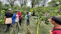 Mayat Pemuda yang Ditemukan di Kebun Kopi dengan Leher Nyaris Putus Ternyata Korban Pembunuhan