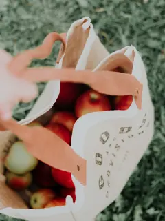 Memulai gaya hidup yang ramah lingkungan dapat dilakukan sesederhana dari rumah. (Unsplash.com/Priscilla du preez).