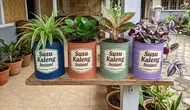 10 Ide Kaleng Susu Bekas Jadi Pot Tanaman Hias, Cara Merawatnya Mudah