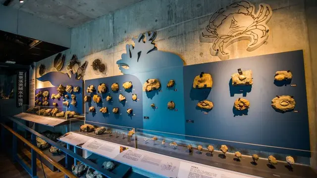 Tainan City Zuojhen Fossil Park