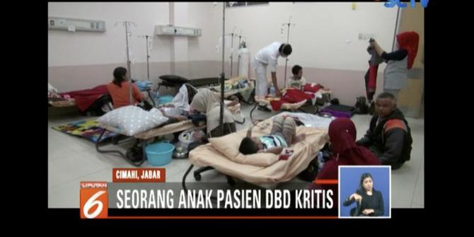 82 Orang Terjangkit Wabah DBD di Cimahi