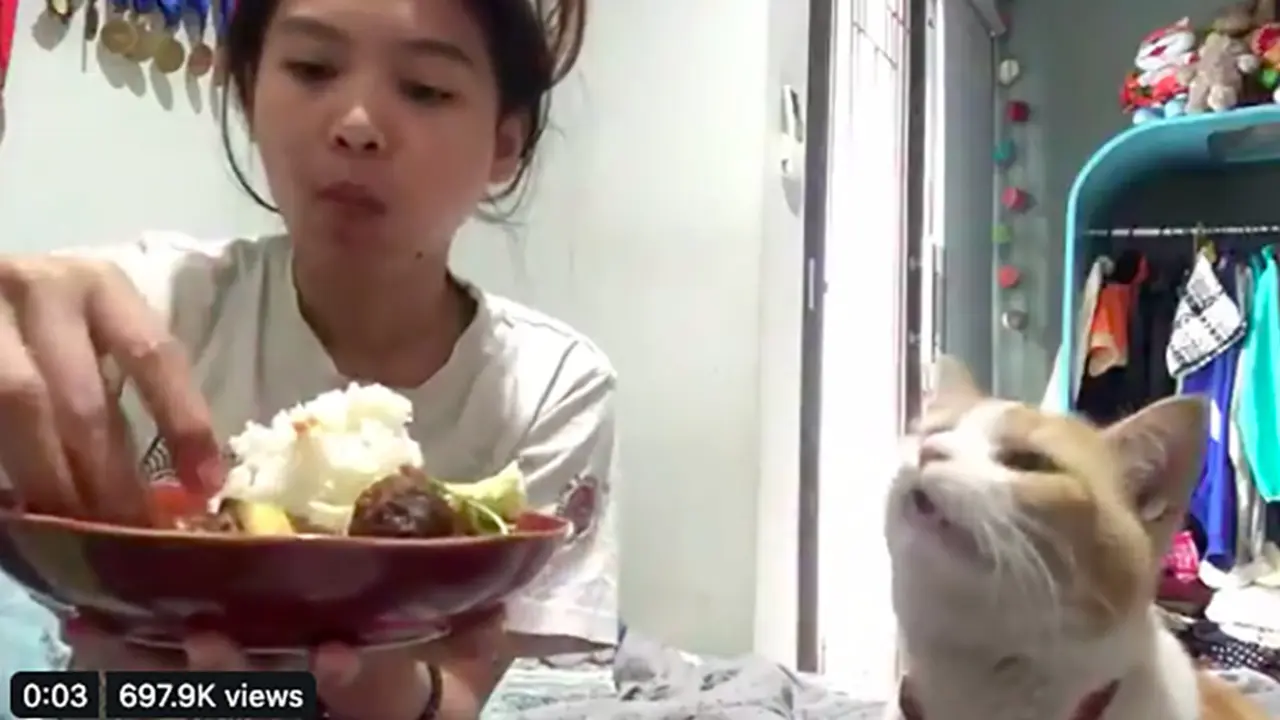 Kucing bersin.