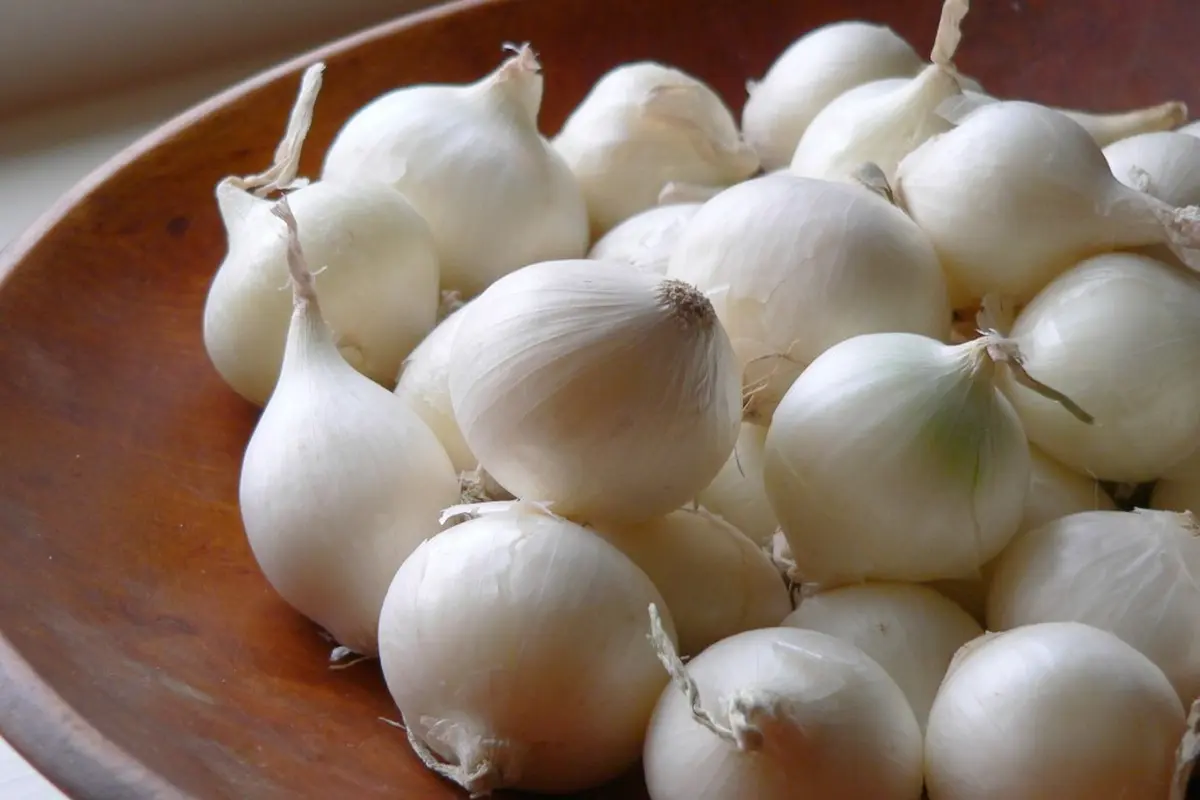 Bawang Putih, Si Bau yang Ternyata Bisa Bikin Kamu Tambah Cantik