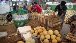 Pedagang menata melon di Pasar Induk Sayur Buah Kramat Jati, Jakarta, Selasa (5/4/2022). Memasuki bulan suci Ramadhan, permintaan buah-buahan mengalami peningkatan untuk diolah menjadi menu berbuka puasa. (Liputan6.com/Faizal Fanani)