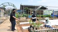 Menteri BUMN Erick Thohir mengajak warga memanfaatkan lahan perumahan menjadi lokasi pertanian. Erick pun menggagas Energi Tani atau ET di kawasan Kembangan Jakarta Barat. (Istimewa)