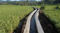 Kementan Rehabilitasi Jaringan Irigasi Tersier Seluas 135 Ribu Ha di 32 Provinsi Tahun Ini