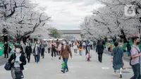 Para pengunjung menikmati sakura mekar di Taman Ueno, Tokyo, Sabtu (25/3/2023). Memasuki musim semi di Jepang, warga hingga turis mancanegara berbondong-bondong menikmati keindahan dari bunga sakura yang mekar. (Liputan6.com/Faizal Fanani)