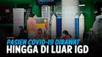 THUMBNAIL CORONA