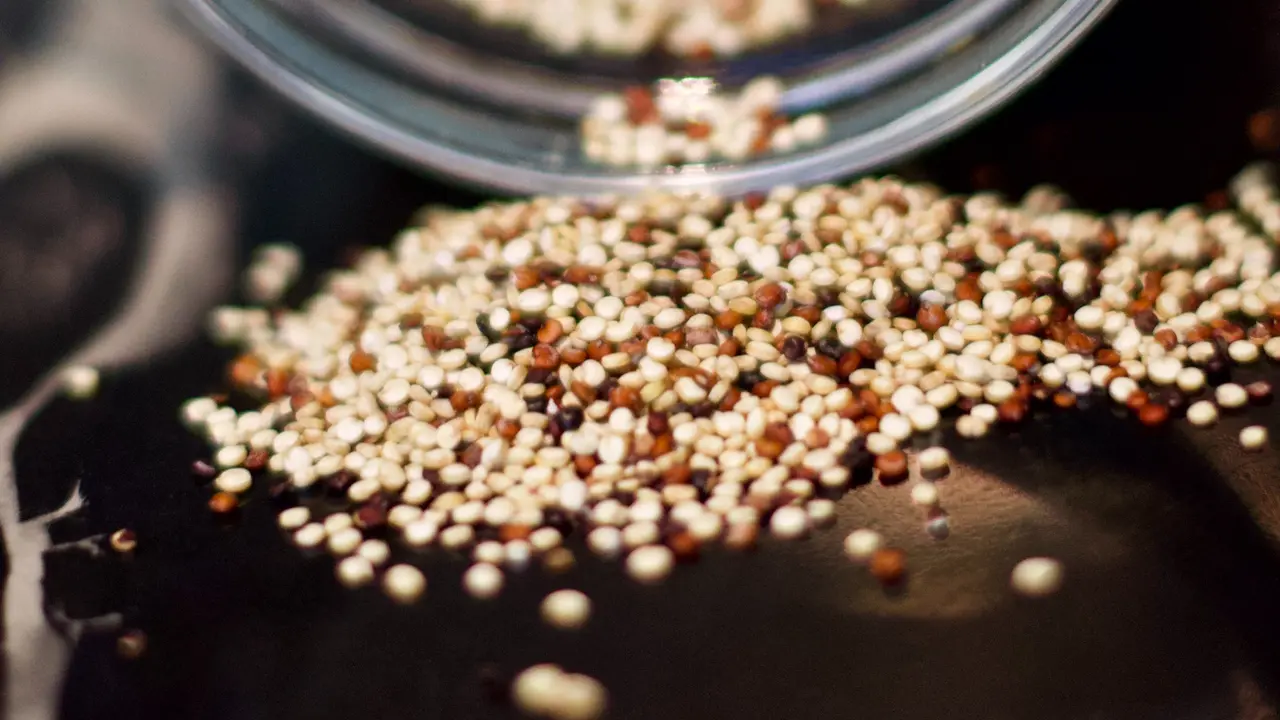 Biji Quinoa