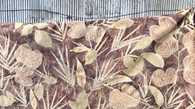Prajan Eco