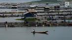 Petani ikan tawar kerambah jaring apung di Desa Panyinangan Kecamatan Sukatani, Waduk Jatiluhur, Purwakarta, Jawa Barat, (9/2). Curah hujan yang tinggi membuat petani merasa tidak berani untuk menabur benih ikan air tawar.  (Merdeka.com/Imam Buhori)