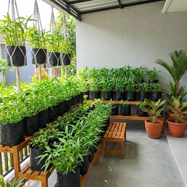 Ide Kebun Sayur di Rumah Modal Rp 100 Ribuan