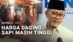 Harga Daging Sapi Masih Tinggi