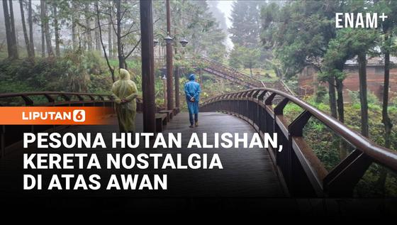 Pesona Hutan Alishan dan Kereta Legendaris di Pegunungan Taiwan