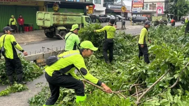 Suku Dinas Pertamanan dan Hutan Kota (Sudin Tamhut) Jakarta Barat memangkas 60 pohon berpotensi tumbang.