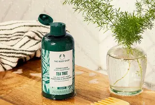 Conditioner dengan kandungan utama tea tree.