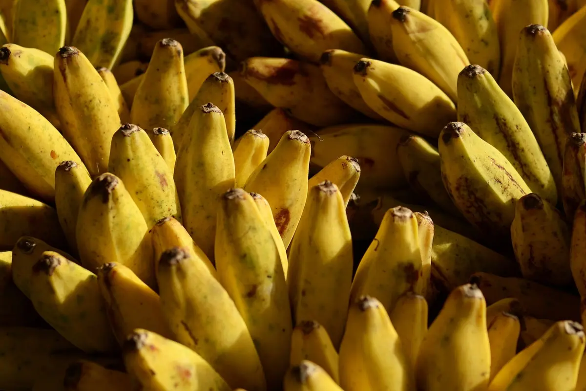 Pisang