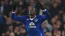 4. Romelu Lukaku (Everton), 18 gol dari 32 penampilan. (AFP/Paul Ellis)