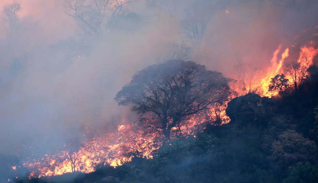 Kebakaran hutan yang telah berlangsung selama berminggu-minggu di provinsi Cordoba (Argentina tengah) semakin meluas pada 20 September dengan dua kali kebakaran hebat. (STRINGER/AFP)