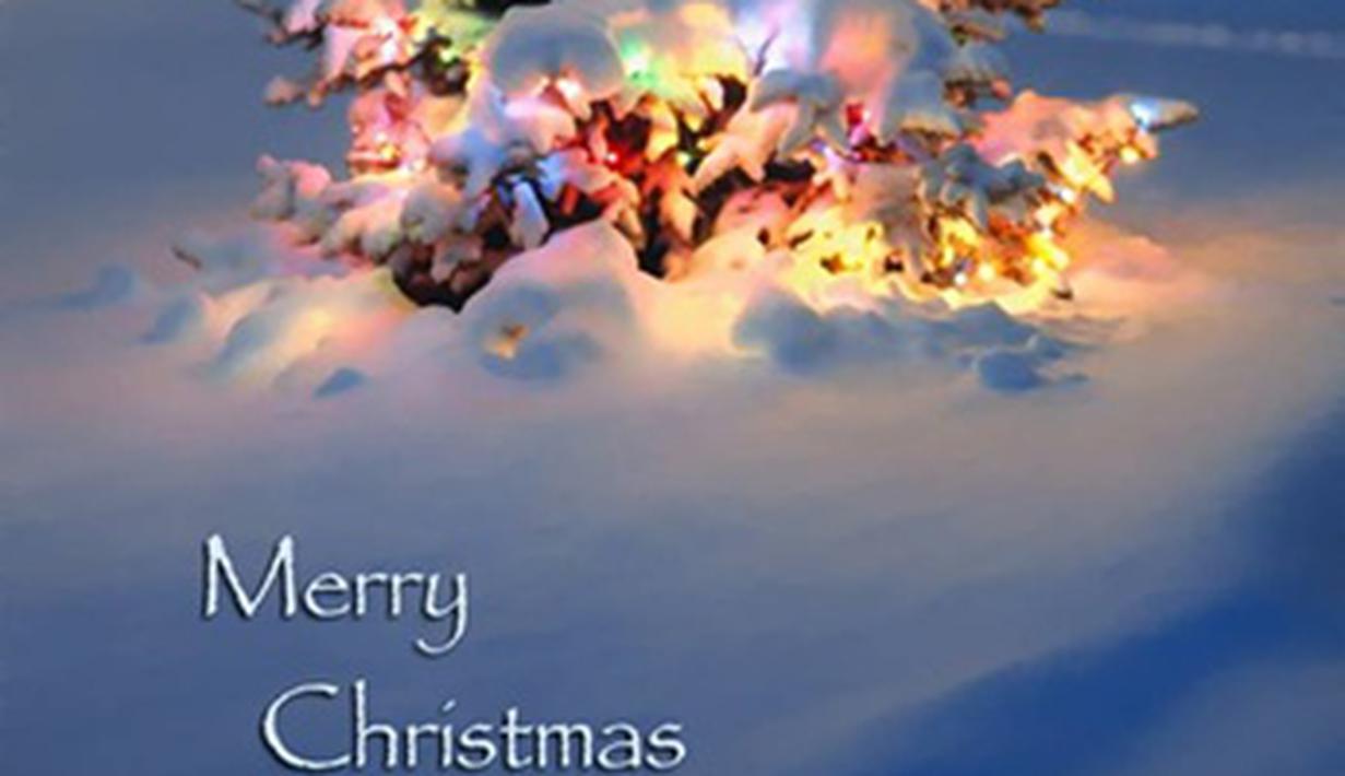 Pohon Natal Berselimut Salju Mengagumkan Dan Mengesankan 