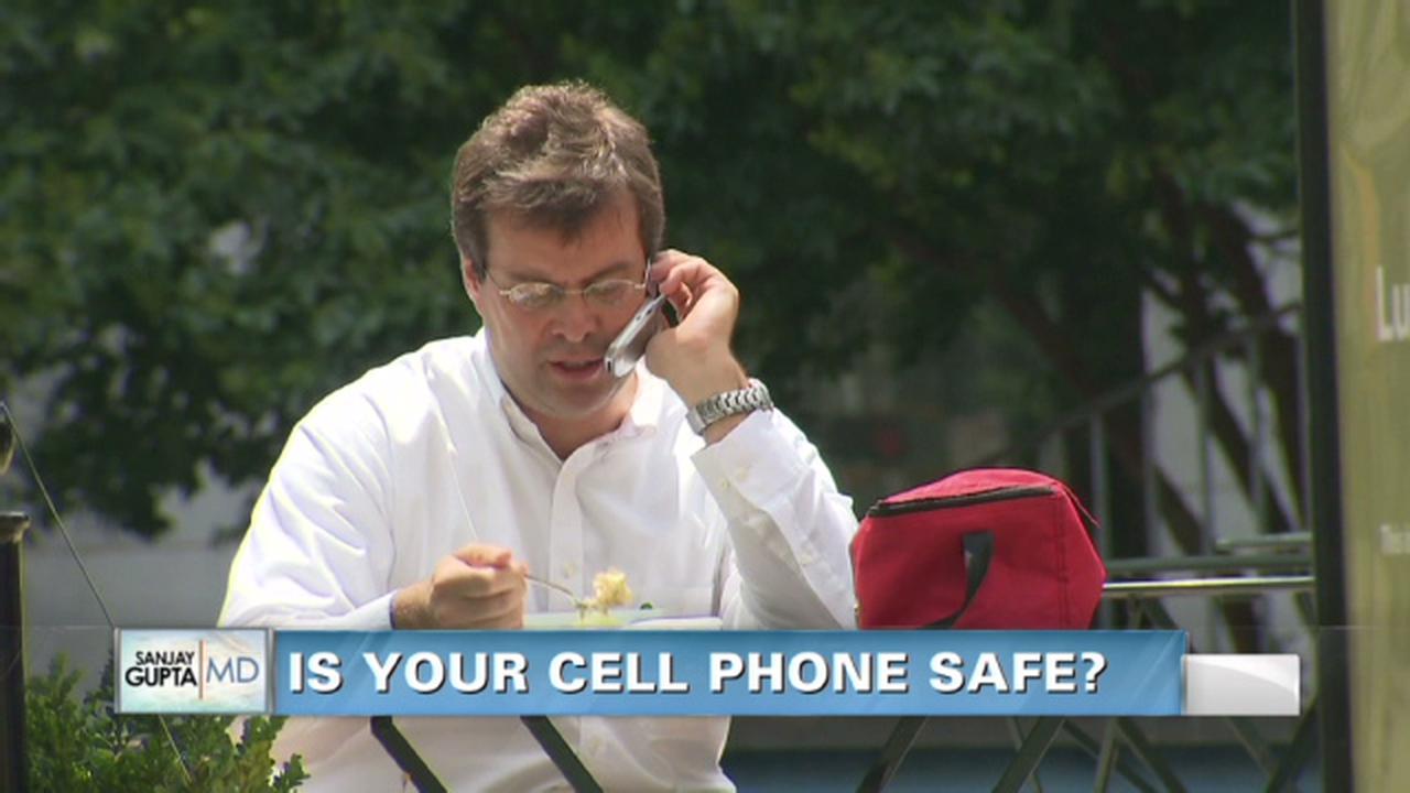 Bahaya Paparan Radiasi Ponsel (II)