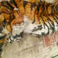 Kulit harimau sumatra yang disita petugas dari pemburu harimau sumatra di Provinsi Riau. (Liputan6.com/M Syukur)