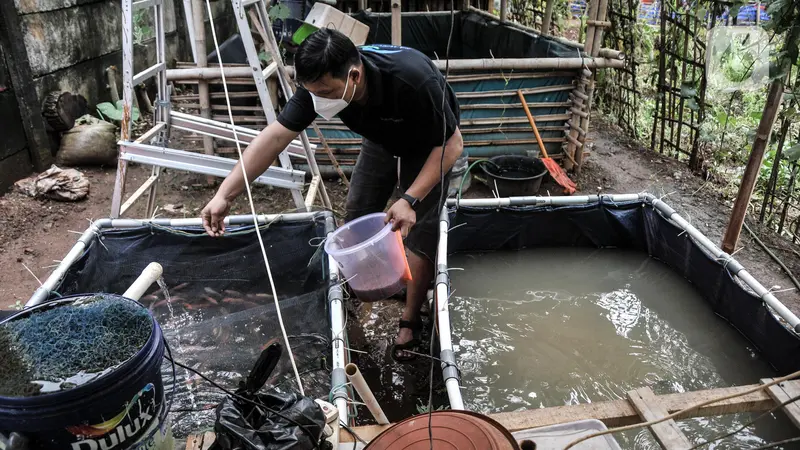 FOTO: Budi Daya Ikan untuk Menjaga Ketahanan Pangan di Masa Pandemi