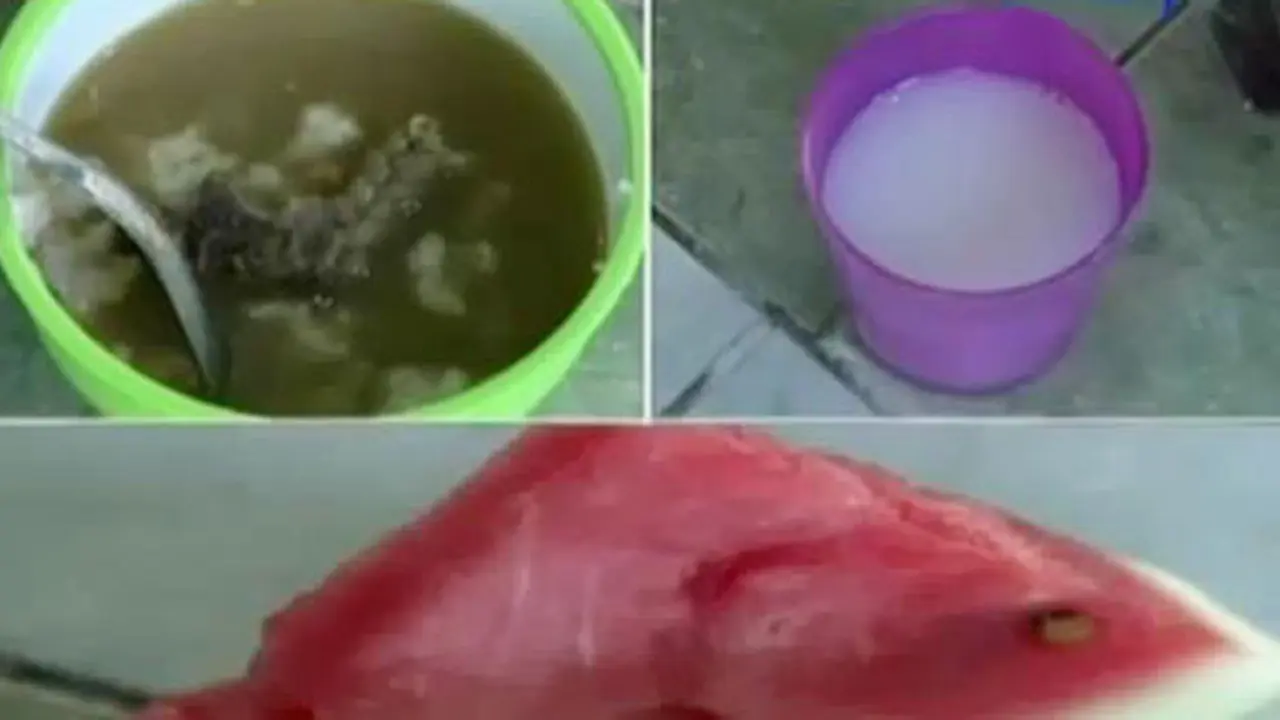 20150702-Karamah-Bubur-Semarang