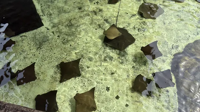 Bermain Air di Adventure Cove Waterpark. [Anisha/Fimela]