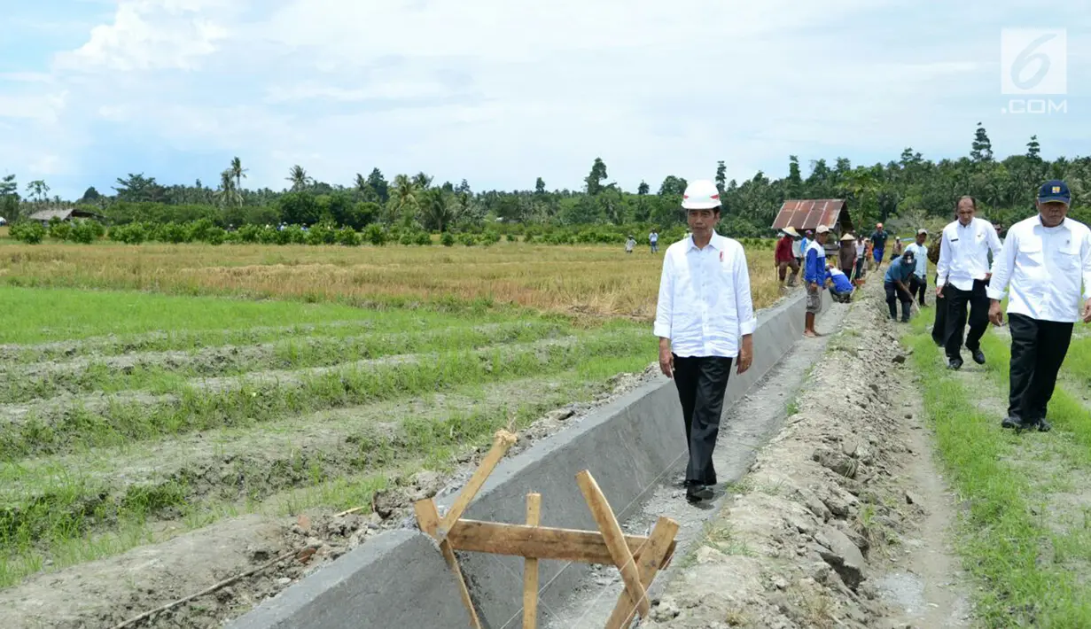 Presiden Joko Widodo saat meninjua irigasi di Desa Waimital, Kecamatan Kairatu, Kabupaten Seram Bagian Barat (14/2). Pemerintah telah menggulirkan program padat karya tunai. (Liputan6.com/Pool/Biro Pers Setpres)